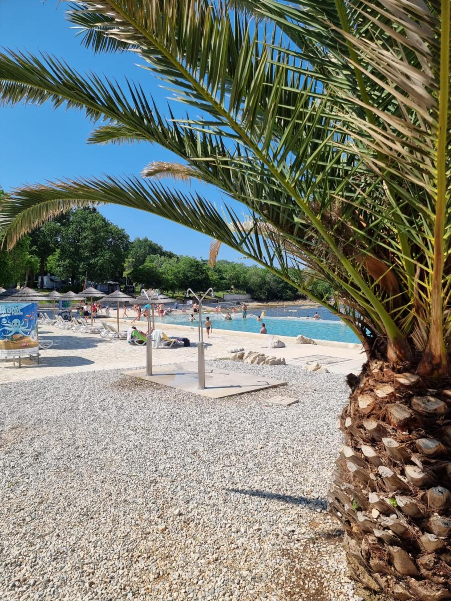Apartment Golden Sun, Novigrad, Istria, Croatia Novigrad Istria Kültér fotó